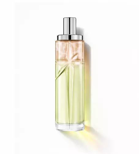 Creamy Delight: tall bottle with green and amber gradient on a white background.