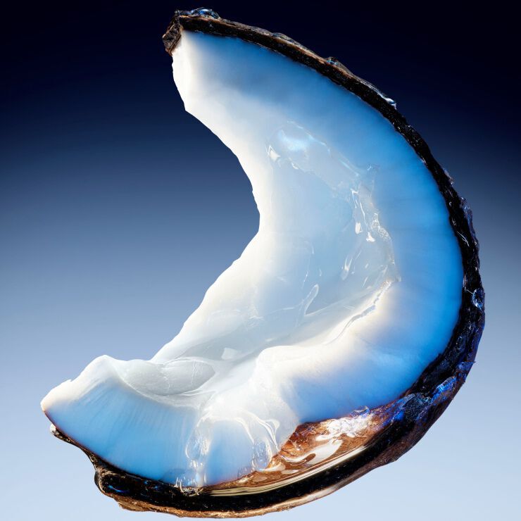 Angel Fantasm 100/50/25ml and Travel Size 10ml | Mugler Official Site