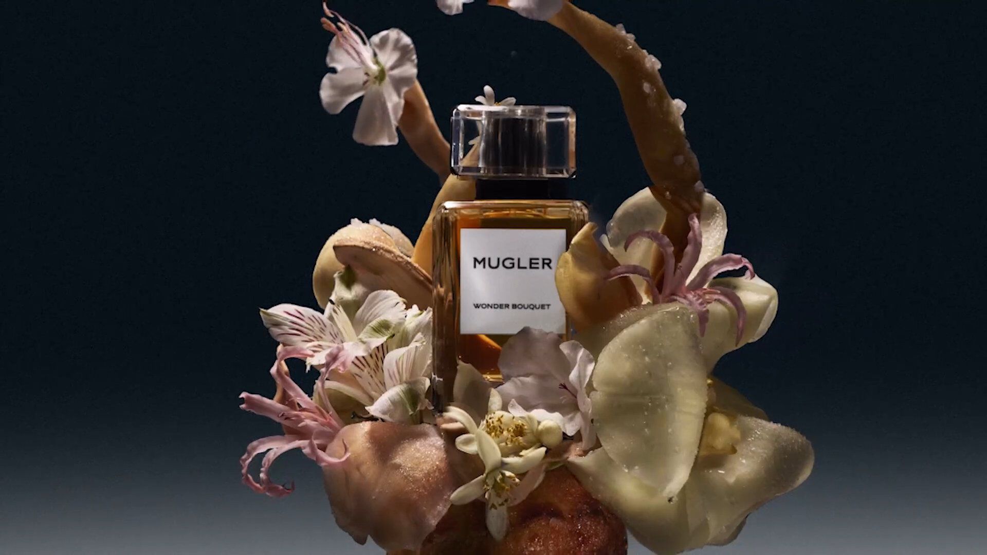 wonder bouquet | white flowers bloom & tempting brioche | NG