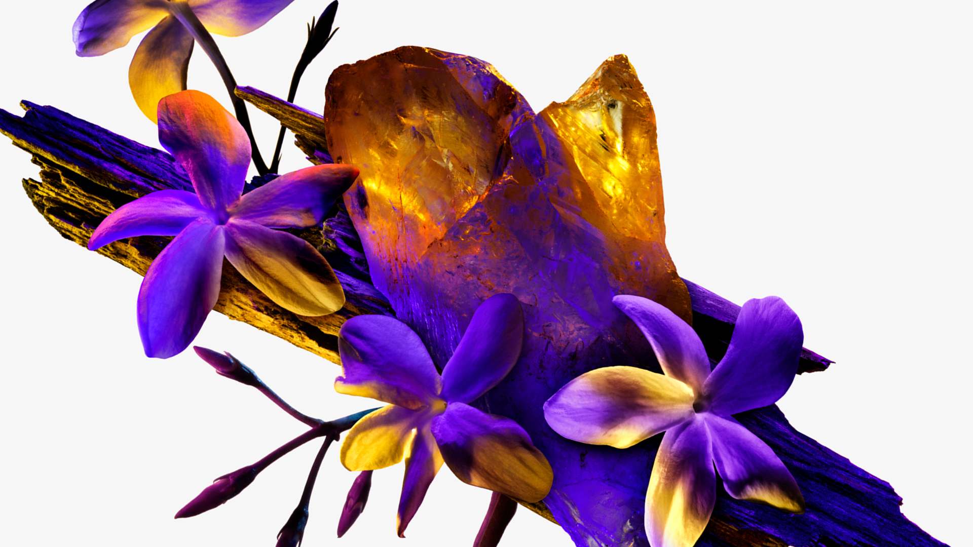  Mugler ingredient composition with jasmin sambac flowers, cashmeran wood, and white amber crystal