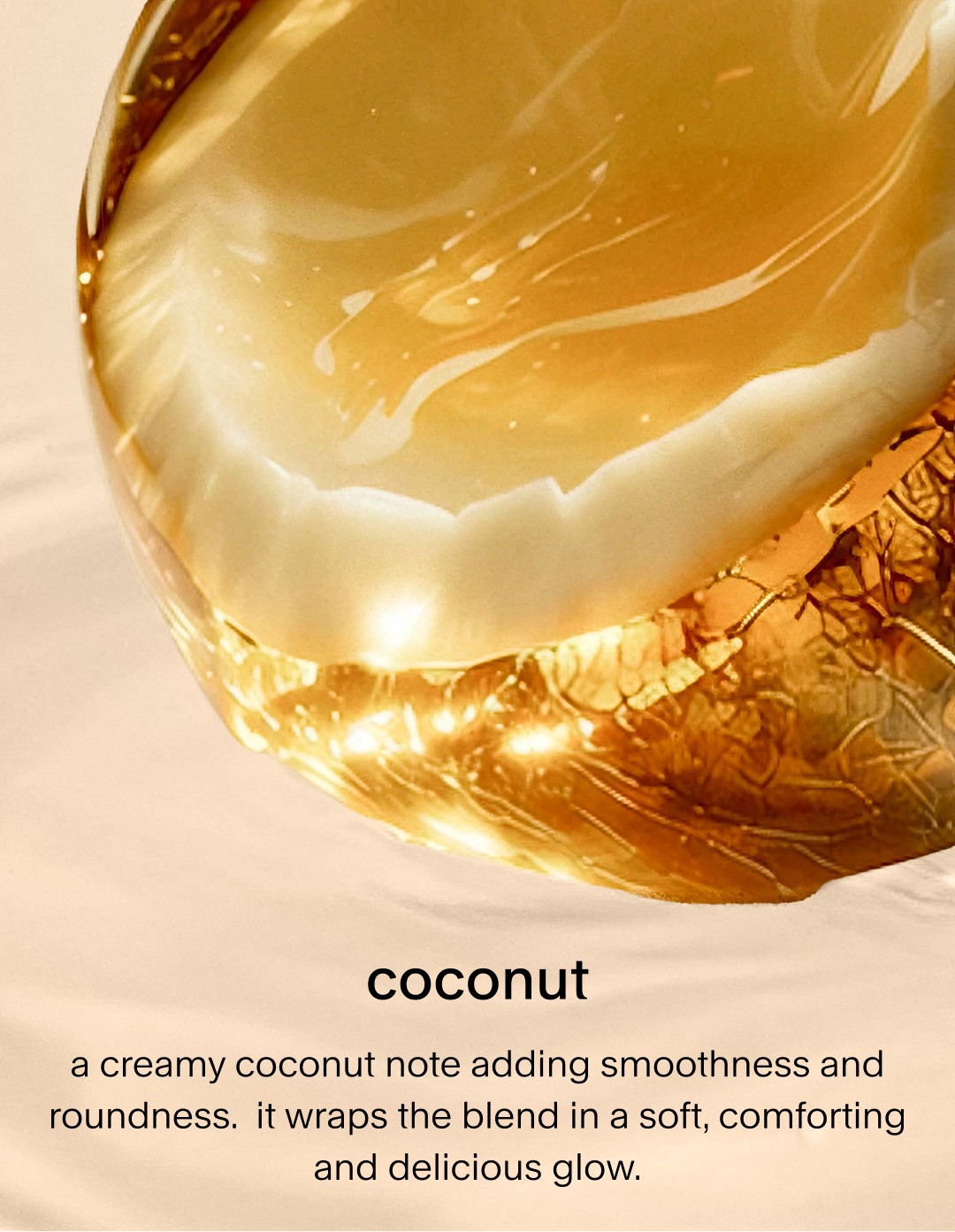 A close-up of a fresh coconut shell filled with a smooth, white coconut meat, resting in a golden, glowing liquid. The text describes it as a creamy note adding smoothness and roundness while wrapping the blend in a comforting and delicious glow.

